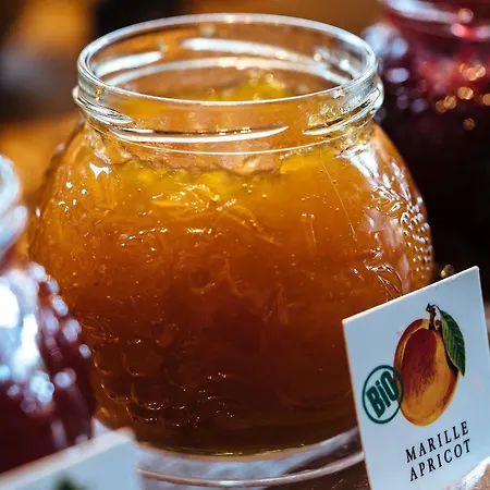 酒店 文柏林贝勒福汽车旅馆 柏林